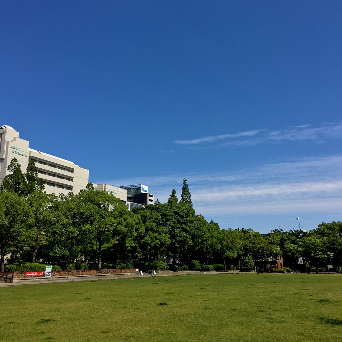他のおすすめアングル